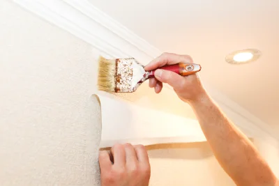Pose de papier peint à la Roche-sur-le-Buis — revêtements muraux et toiles de verre